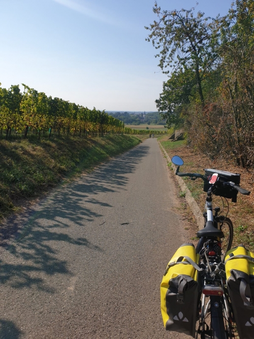 J24 Hartmannswiller (68)